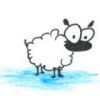 sheep_avatar.jpg