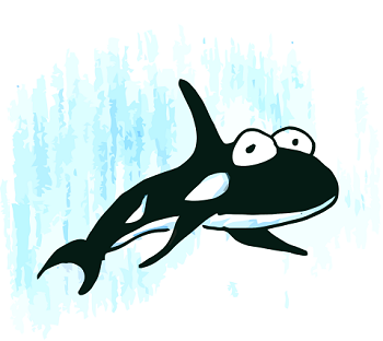 a killer whale (orca) in the sea illustration