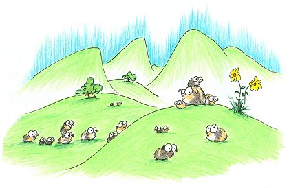 screen background: a wild herd of guinea pigs screen wallpaper