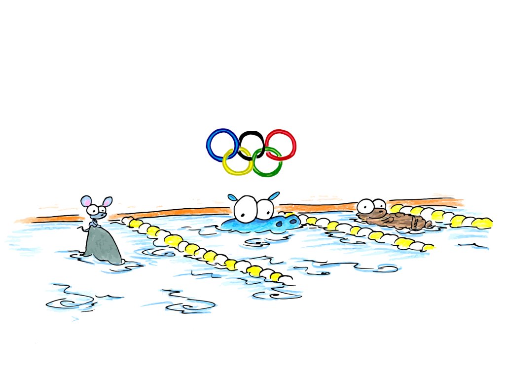 mice swimming