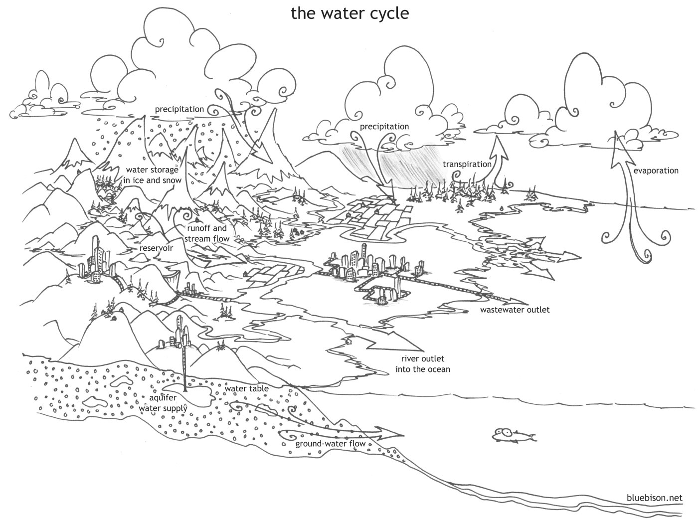coloring pages the water cycle bluebisonnet