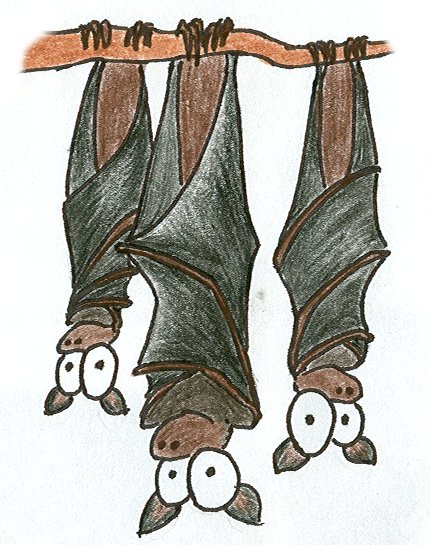 animated bat upside down