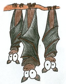 upside down cartoon bats