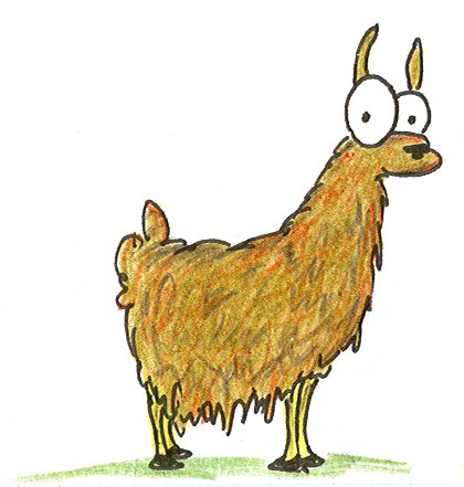 llama1.jpg