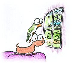 cartoon bird and dog looking out a window in need of a petsitter