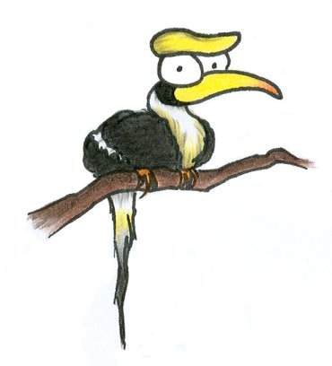 Cartoon Hornbill