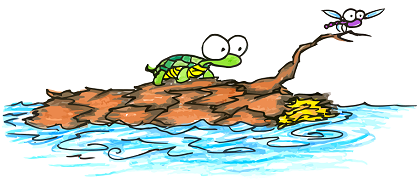 a cartoon illustration of a turtle and a dragonfly sailing on a log