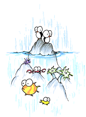 drawing of penguins, anemone, crab, and fish in the ocean