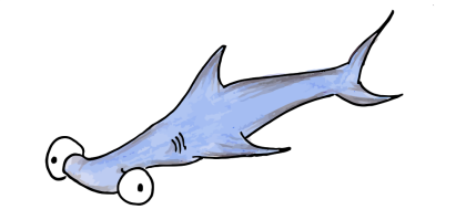 illustration of a hammerhead shark