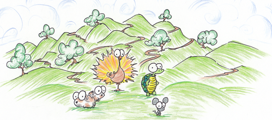 illustration of a turkey, guinea pigs, turtle, and a mouse in the hills