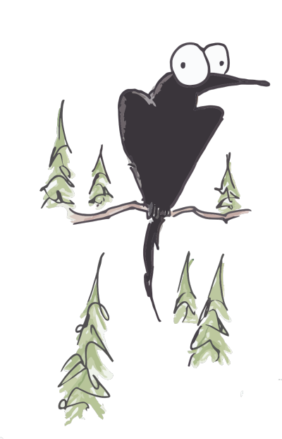 illustration of a raven in some pine trees