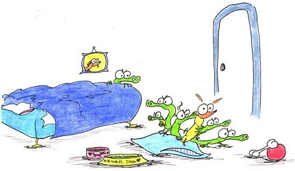 thieving alligators stealing a dachschund