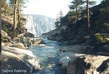 Top of Yosemite Falls