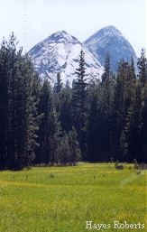 Summer in Tuolumne